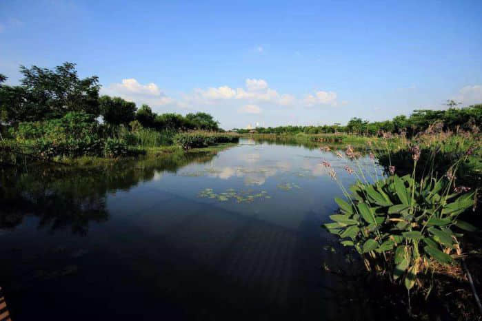 负氧离子是什么?负氧离子对人体有什么作用? 负氧离子是什么?负氧离子对人体有什么作用?