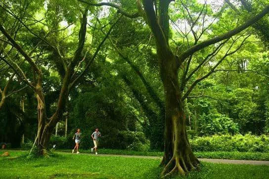 负离子机有什么作用?负离子机哪个牌子好? 负离子机有什么作用?负离子机哪个牌子好?