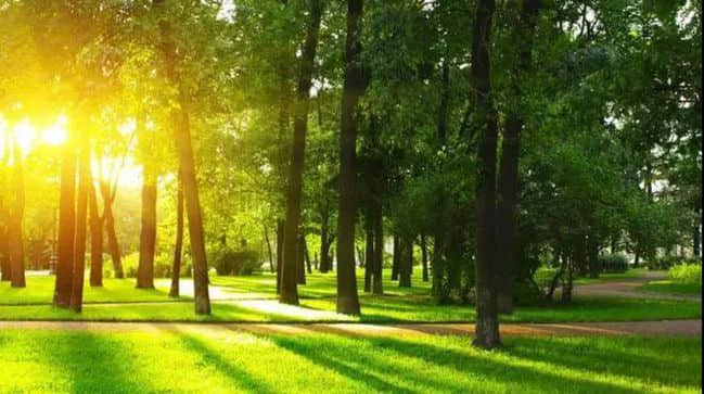 小粒径负离子是如何实现疗养保健的? 小粒径负离子是如何实现疗养保健的?