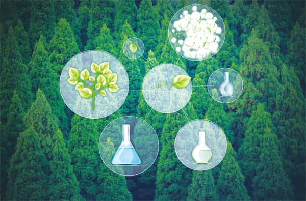 小粒径负离子是如何实现疗养保健的? 小粒径负离子是如何实现疗养保健的?