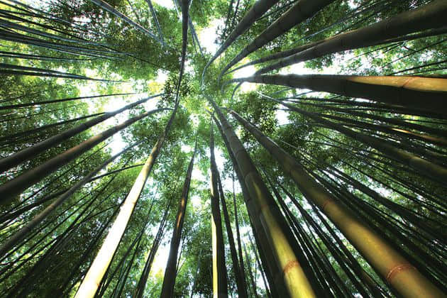 深度揭秘：负离子能治糖尿病是真实的还是噱头?(图2)