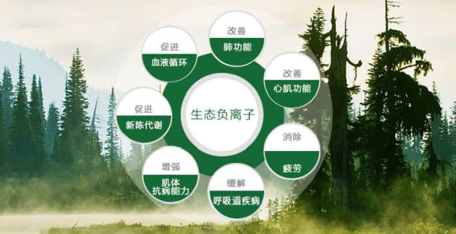 深夜，32岁男子因长期失眠猝死……看负离子如何帮你好好睡觉(图4)