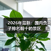 2026年最新:国内负离子排名前十的景区,我踩了3个坑才明白(图3) 2026年最新:国内负离子排名前十的景区,我踩了3个坑才明白(图3)