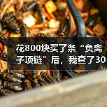 花800块买了条“负离子项链”后，我查了30篇论文：负离子抗衰老有没有科学依据（图1）