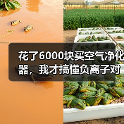 花了6000块买空气净化器,我才搞懂负离子对儿童发育有影响吗(图2) 花了6000块买空气净化器,我才搞懂负离子对儿童发育有影响吗(图2)
