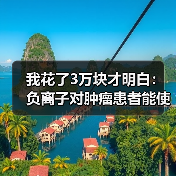 我花了3万块才明白:负离子对肿瘤患者能使用吗?(图3) 我花了3万块才明白:负离子对肿瘤患者能使用吗?(图3)