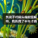 负离子对偏头痛能缓解吗,我折腾了半年才搞明白(图4) 负离子对偏头痛能缓解吗,我折腾了半年才搞明白(图4)