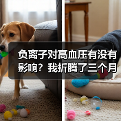 负离子对高血压有没有影响？我折腾了三个月才搞明白（图1）