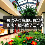 负离子对高血压有没有影响？我折腾了三个月才搞明白（图4）