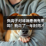 负离子对哮喘患者有用吗?我花了一年时间才搞明白(图2) 负离子对哮喘患者有用吗?我花了一年时间才搞明白(图2)
