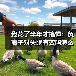 我花了半年才搞懂：负离子对失眠有效吗怎么用（图1）