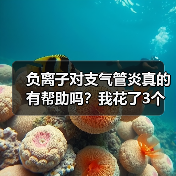 负离子对支气管炎真的有帮助吗？我花了3个月实测告诉你答案（图3）
