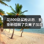 花800块买教训后,我重新理解了负离子加湿器怎么样值得买吗(图2) 花800块买教训后,我重新理解了负离子加湿器怎么样值得买吗(图2)