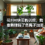花800块买教训后,我重新理解了负离子加湿器怎么样值得买吗(图4) 花800块买教训后,我重新理解了负离子加湿器怎么样值得买吗(图4)