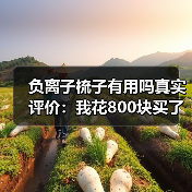 负离子梳子有用吗真实评价:我花800块买了个教训(图2) 负离子梳子有用吗真实评价:我花800块买了个教训(图2)