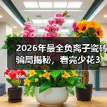 2026年最全负离子瓷砖骗局揭秘，看完少花3万冤枉钱（图2）