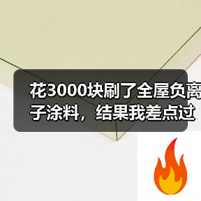 花3000块刷了全屋负离子涂料,结果我差点过敏了(图1) 花3000块刷了全屋负离子涂料,结果我差点过敏了(图1)