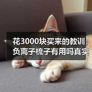 花3000块买来的教训:负离子梳子有用吗真实评价(图4) 花3000块买来的教训:负离子梳子有用吗真实评价(图4)
