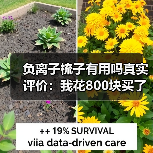 负离子梳子有用吗真实评价:我花800块买了个教训(图3) 负离子梳子有用吗真实评价:我花800块买了个教训(图3)