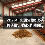 2026年实测5把负离子梳子后，我必须说的真实评价（图1）