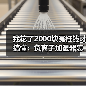 我花了2000块冤枉钱才搞懂：负离子加湿器怎么样值得买吗（图3）