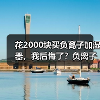 花2000块买负离子加湿器,我后悔了?负离子加湿器怎么样值得买吗(图2) 花2000块买负离子加湿器,我后悔了?负离子加湿器怎么样值得买吗(图2)