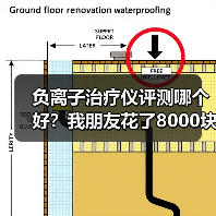 负离子治疗仪评测哪个好?我朋友花了8000块买了个教训(图4) 负离子治疗仪评测哪个好?我朋友花了8000块买了个教训(图4)