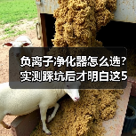 负离子净化器怎么选？实测踩坑后才明白这5大真相（图2）