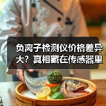 负离子检测仪价格差异大？真相藏在传感器里（图3）