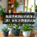 负离子检测仪价格怎么选?半年才搞懂避坑指南(图4) 负离子检测仪价格怎么选?半年才搞懂避坑指南(图4)