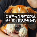负离子发生器厂家怎么选？真实踩坑经验教你避坑（图2）