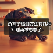 负离子检测方法有几种?别再被忽悠了(图3) 负离子检测方法有几种?别再被忽悠了(图3)