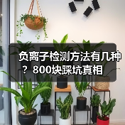 负离子检测方法有几种?800块踩坑真相(图1) 负离子检测方法有几种?800块踩坑真相(图1)