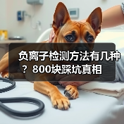 负离子检测方法有几种?800块踩坑真相(图3) 负离子检测方法有几种?800块踩坑真相(图3)
