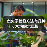 负离子检测方法有几种?800块踩坑真相(图4) 负离子检测方法有几种?800块踩坑真相(图4)