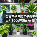 负离子检测仪价格差异大?3000元真的值得吗?(图2) 负离子检测仪价格差异大?3000元真的值得吗?(图2)