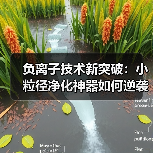 负离子技术新突破：小粒径净化神器如何逆袭？我花了3万才明白真相（图2）