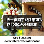 稀土负离子能除甲醛?花4000块才知真相(图3) 稀土负离子能除甲醛?花4000块才知真相(图3)