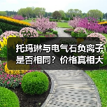 托玛琳与电气石负离子是否相同？价格真相大揭秘（图4）