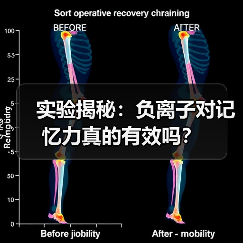 实验揭秘：负离子对记忆力真的有效吗？（图3）