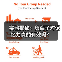 实验揭秘：负离子对记忆力真的有效吗？（图4）