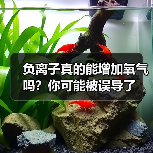 负离子真的能增加氧气吗？你可能被误导了（图4）