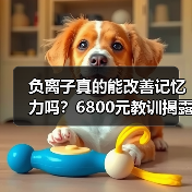 负离子真的能改善记忆力吗?6800元教训揭露真相(图1) 负离子真的能改善记忆力吗?6800元教训揭露真相(图1)