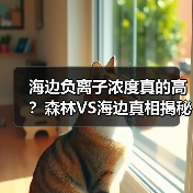 海边负离子浓度真的高?森林VS海边真相揭秘(图4) 海边负离子浓度真的高?森林VS海边真相揭秘(图4)