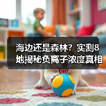 海边还是森林?实测8地揭秘负离子浓度真相(图4) 海边还是森林?实测8地揭秘负离子浓度真相(图4)