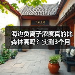 海边负离子浓度真的比森林高吗?实测3个月真相大白(图1) 海边负离子浓度真的比森林高吗?实测3个月真相大白(图1)