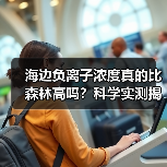 海边负离子浓度真的比森林高吗?科学实测揭秘真相(图2) 海边负离子浓度真的比森林高吗?科学实测揭秘真相(图2)