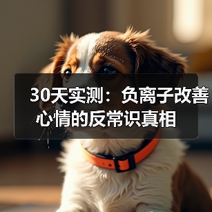 30天实测：负离子改善心情的反常识真相（图2）