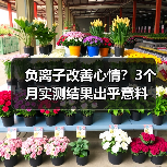 负离子改善心情？3个月实测结果出乎意料（图3）