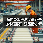 海边负离子浓度高还是森林更高?踩雷后才懂的实测真相(图1) 海边负离子浓度高还是森林更高?踩雷后才懂的实测真相(图1)